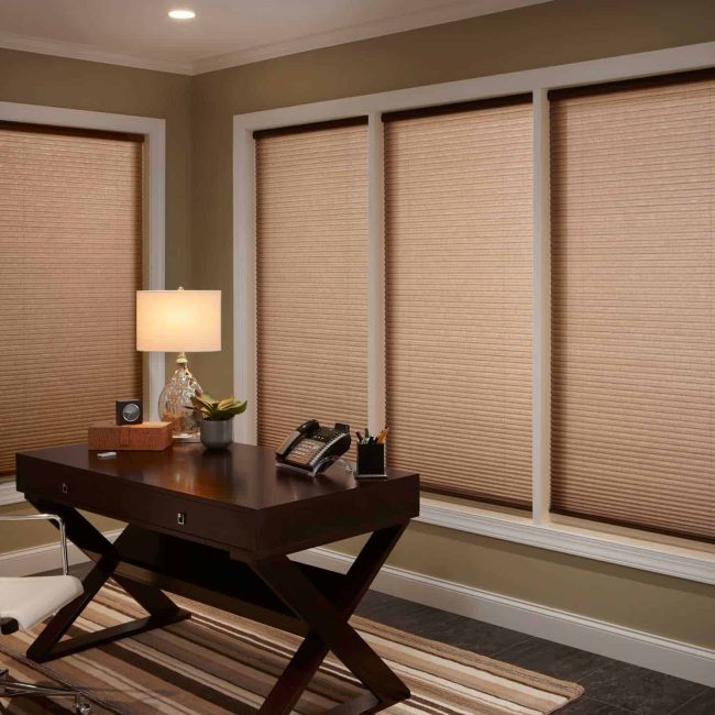 Lutron Shades