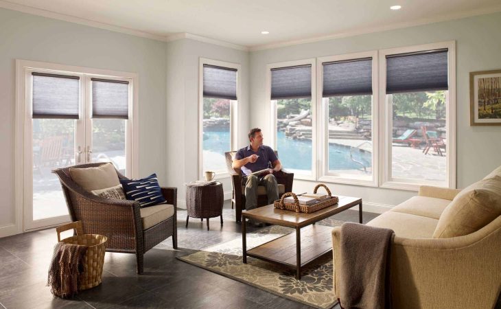 Lutron Shades